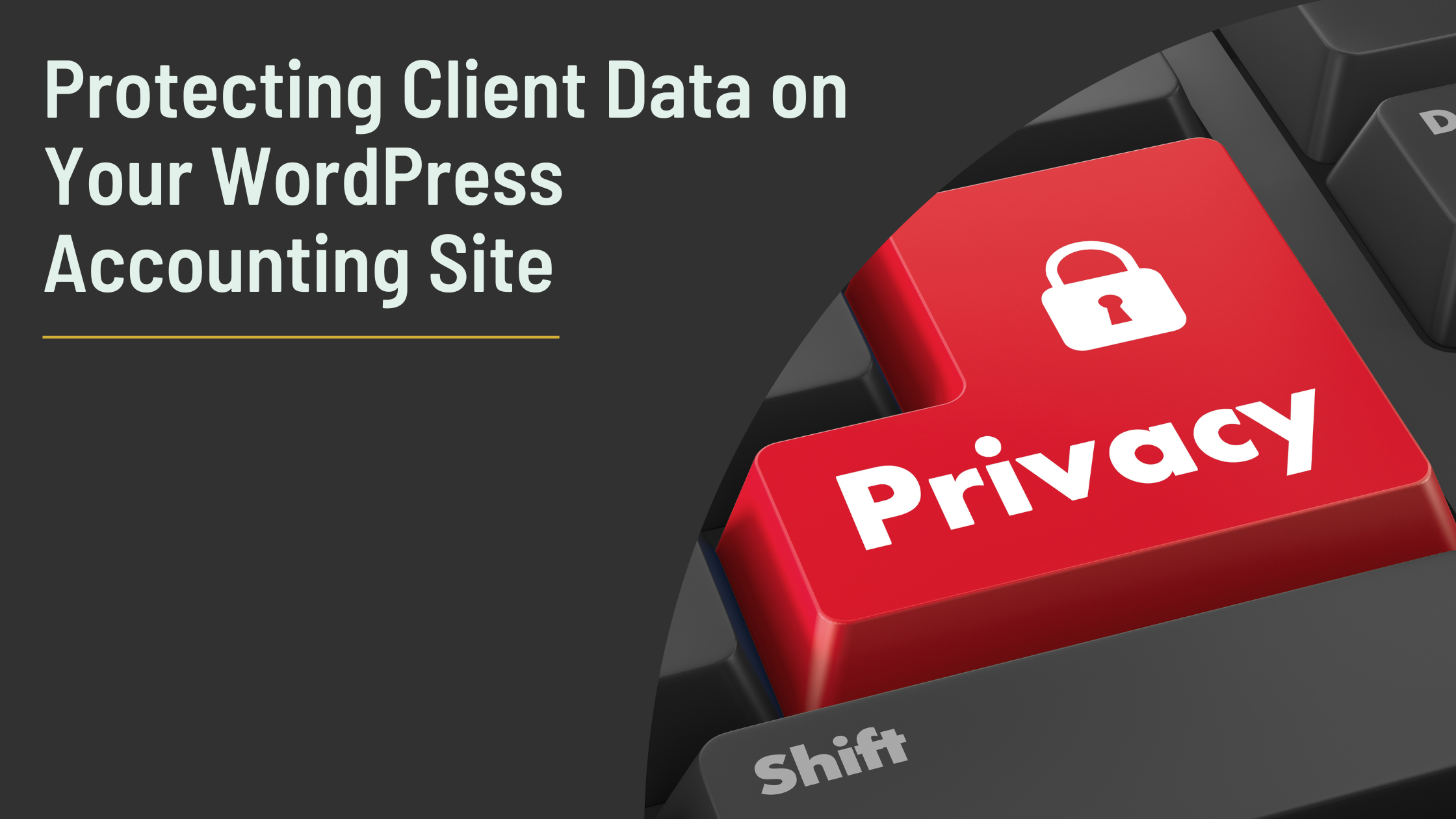 client data privacy wordpress blog post cover