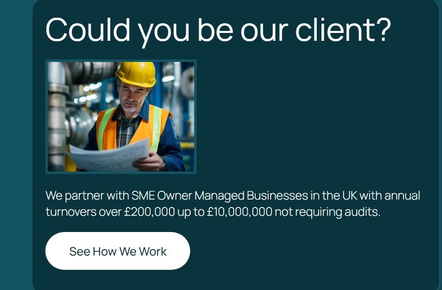 27m ideal client screenshot from Accounting Firm website